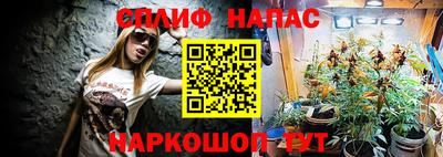 mdpv Брянск