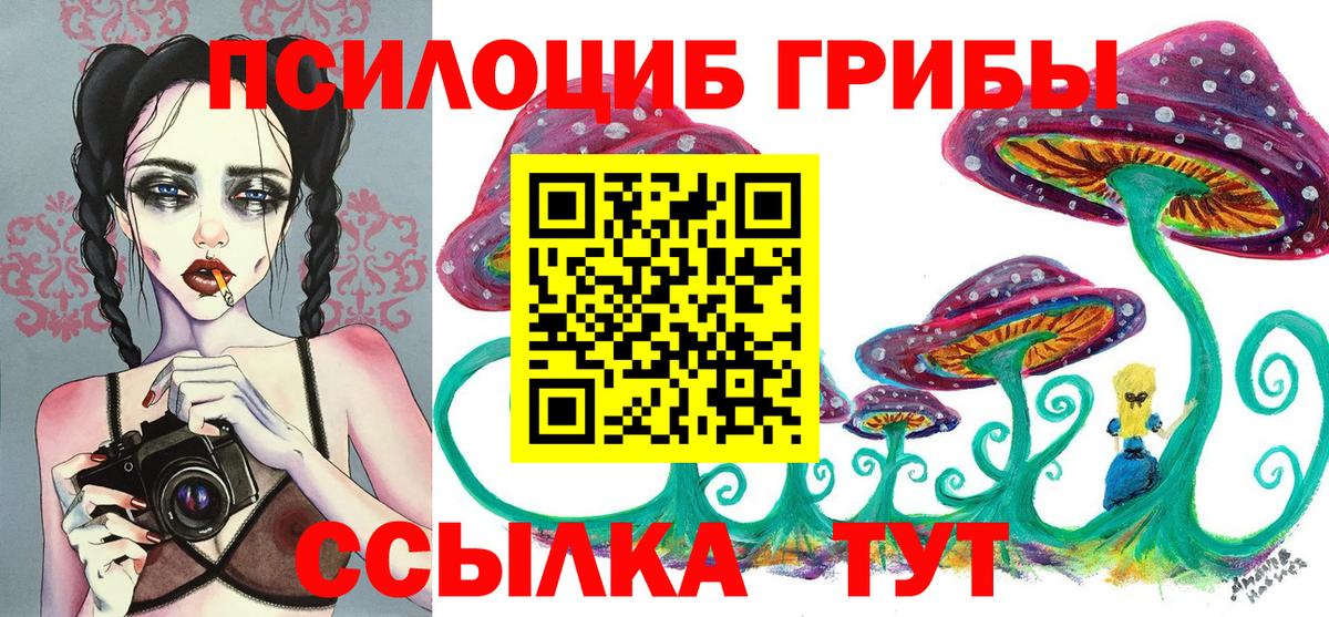 Галлюциногенные грибы MAGIC MUSHROOMS Заводоуковск