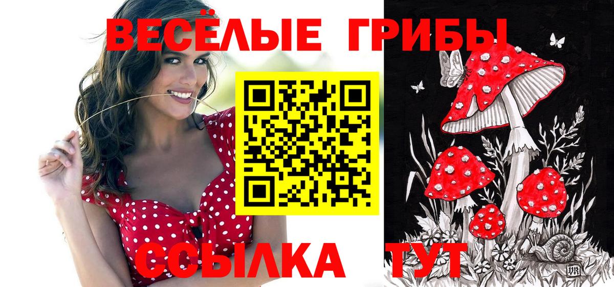 Псилоцибиновые грибы Cubensis  Вход с VPN  Заводоуковск 